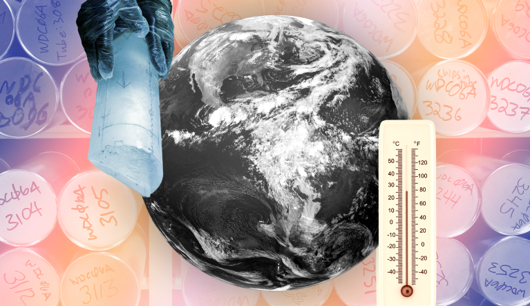 An anti-climatic history