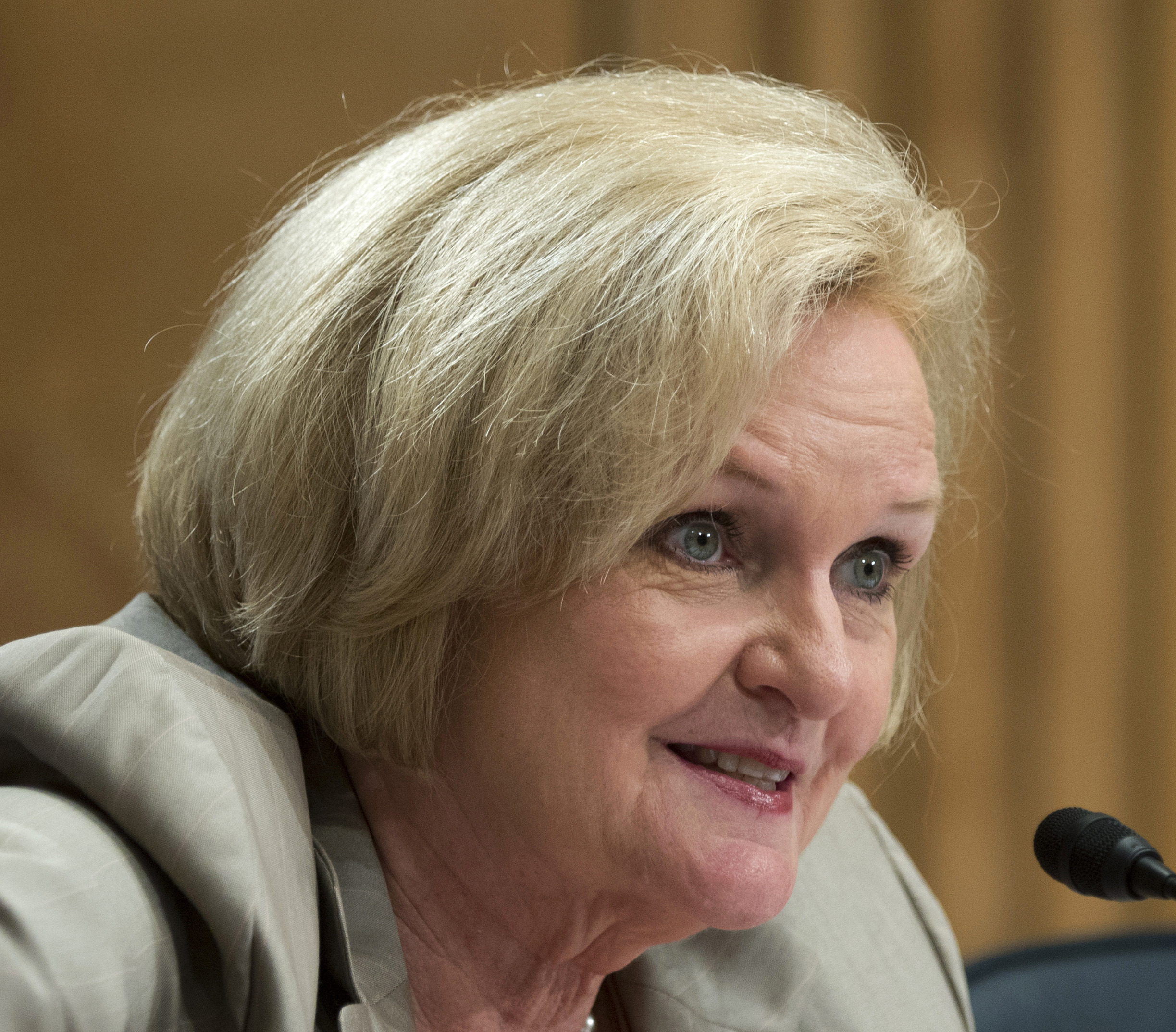 Panel backs easing electronic device use on planes