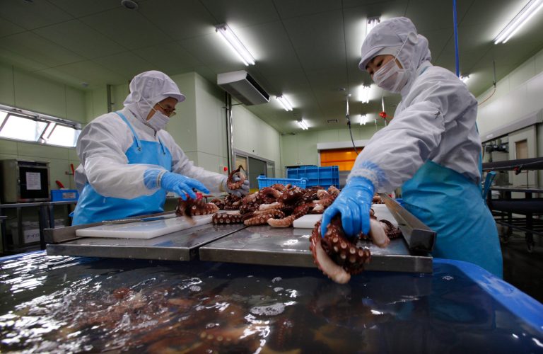 Revival for Japan’s tsunami wrecked fishing ports