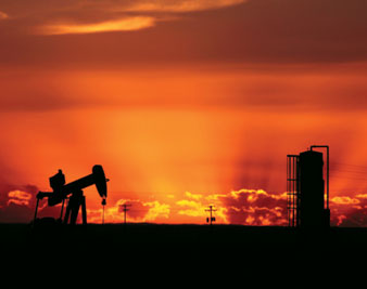 Energy in the Executive