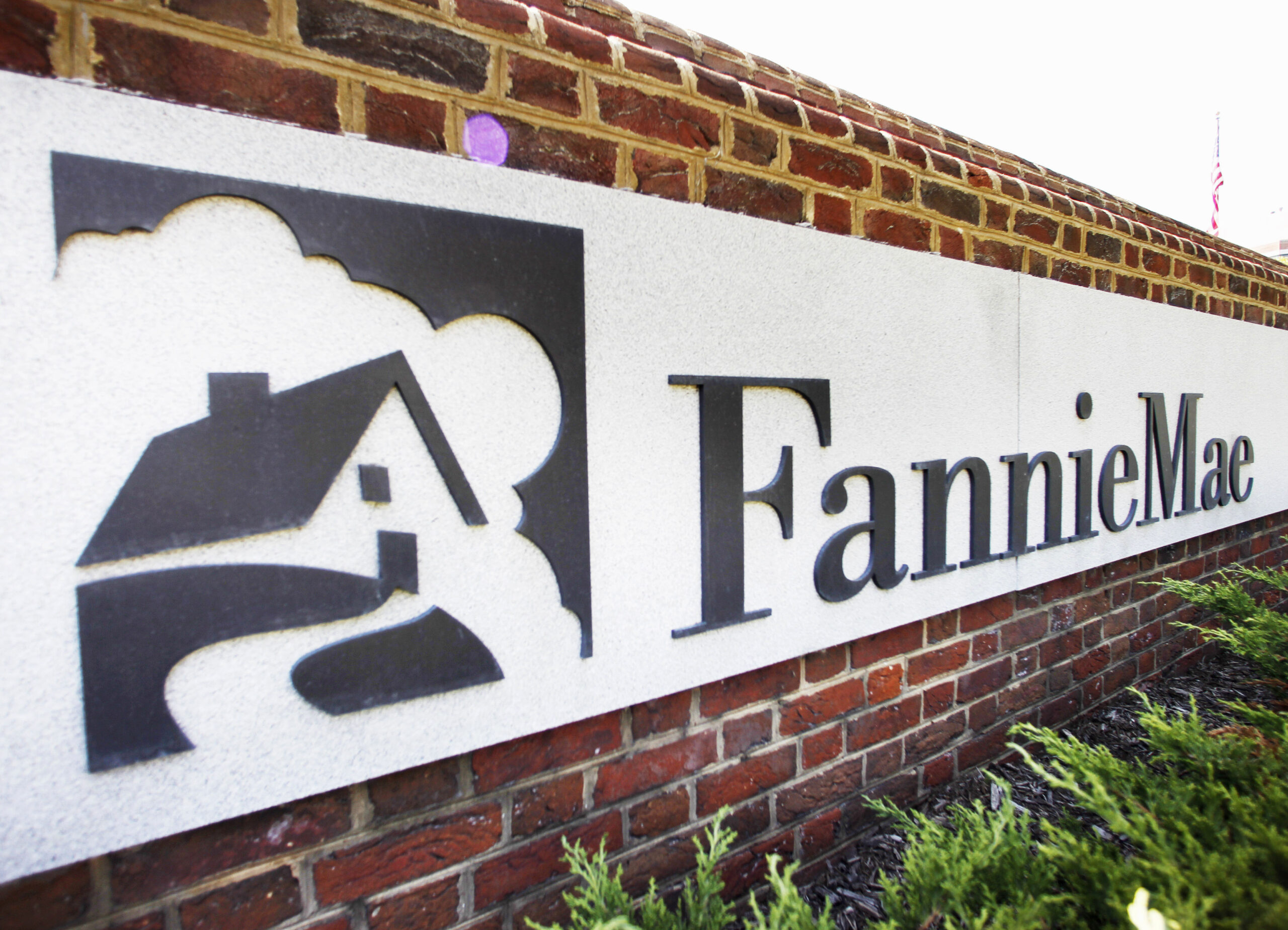 Plans to wind down Fannie Mae, Freddie Mac brew in Congress