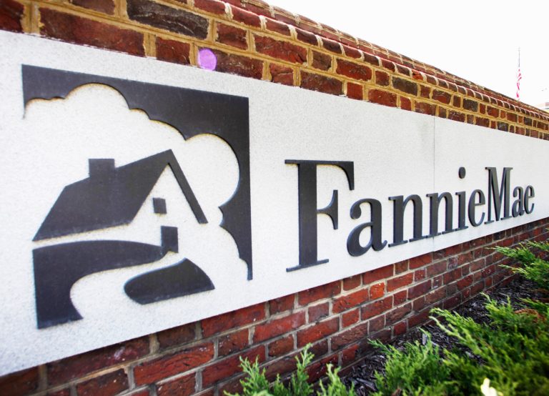 Plans to wind down Fannie Mae, Freddie Mac brew in Congress