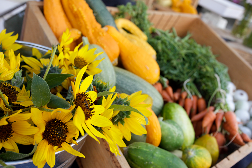 Food stamps: New Mexico SNAP payments worth up to $1,751 for January to wrap up in 18 days