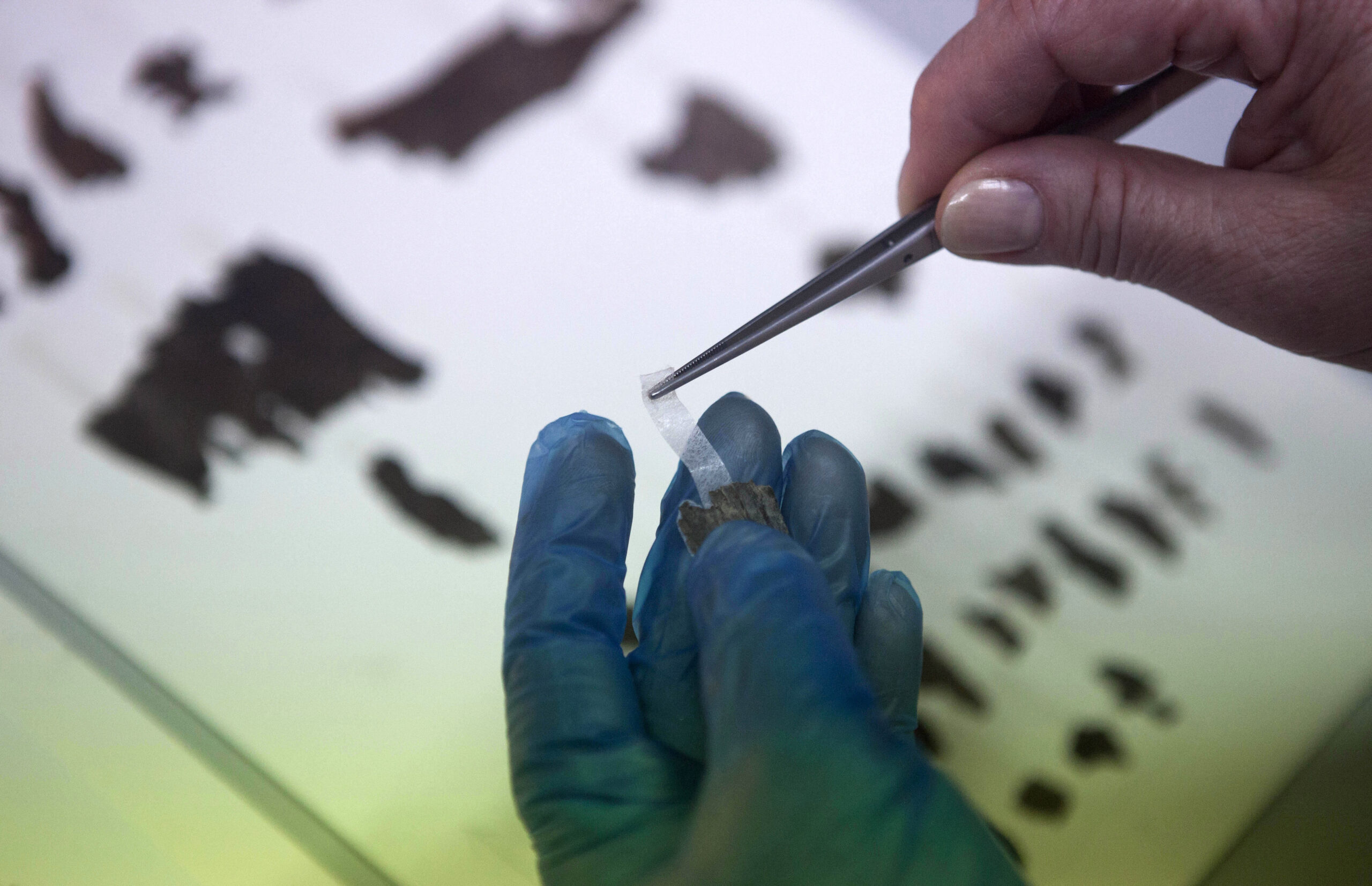 Israel building center for ancient artifacts