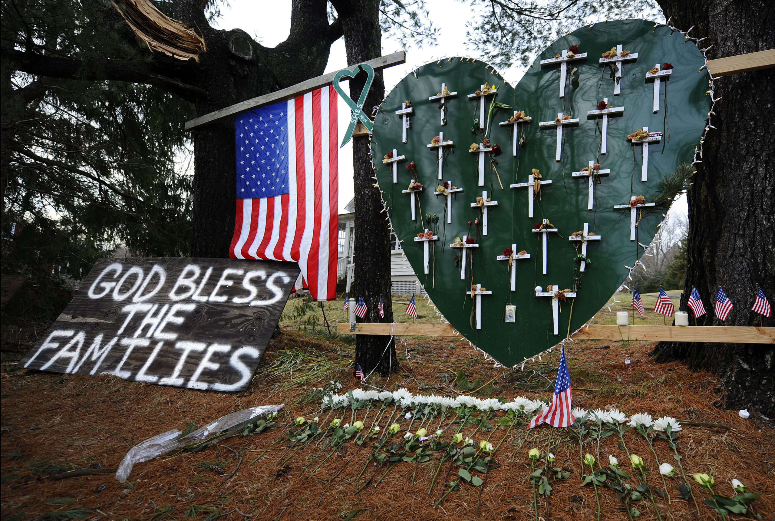 An open letter to Peter Lanza