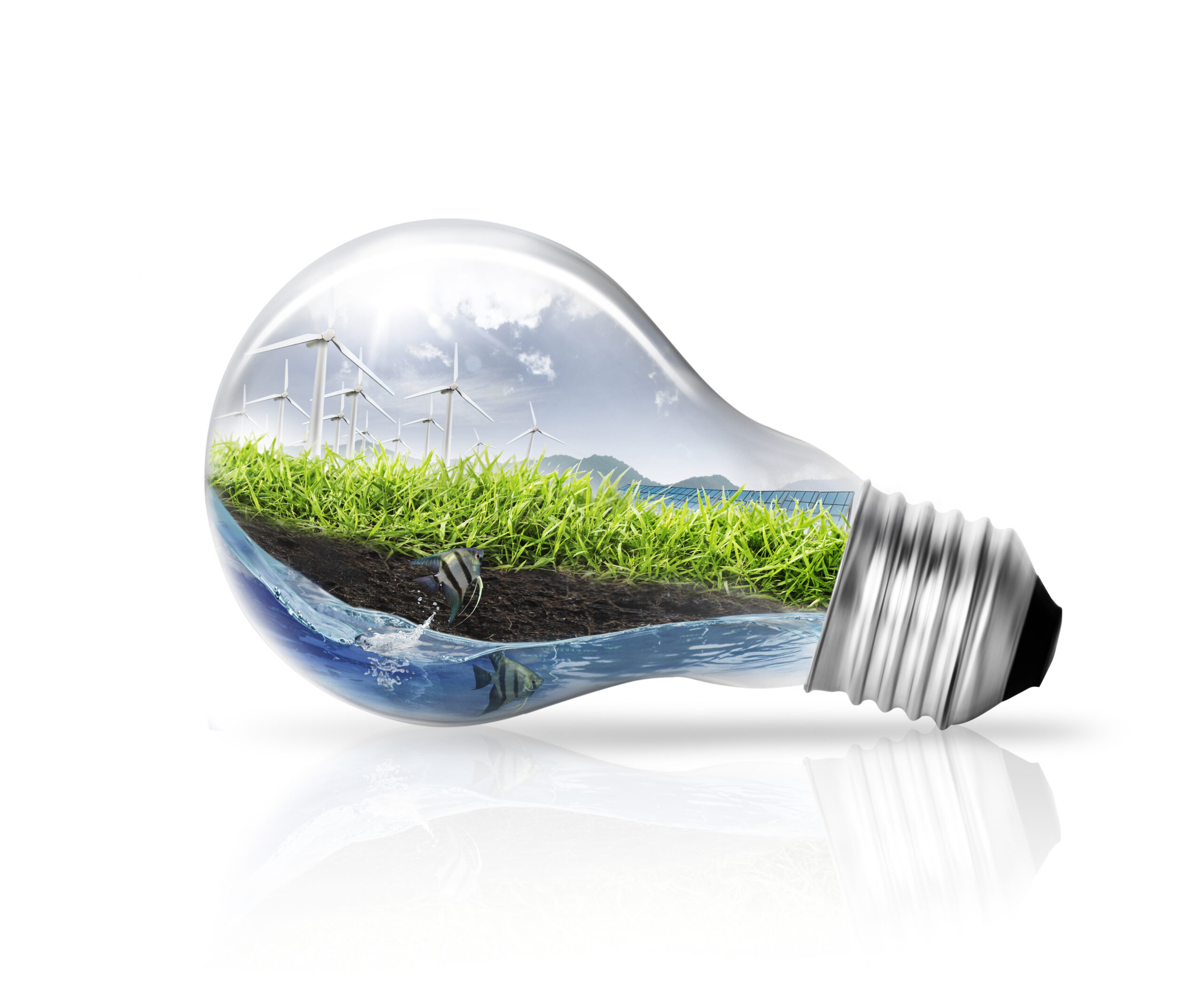 Raise campaign funds for Obama, get green energy grants