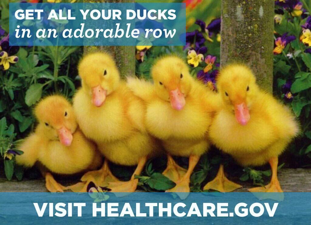 White House explains effort to rebrand Obamacare ‘the Adorable Care Act’