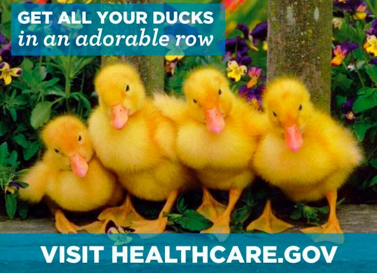 White House explains effort to rebrand Obamacare ‘the Adorable Care Act’