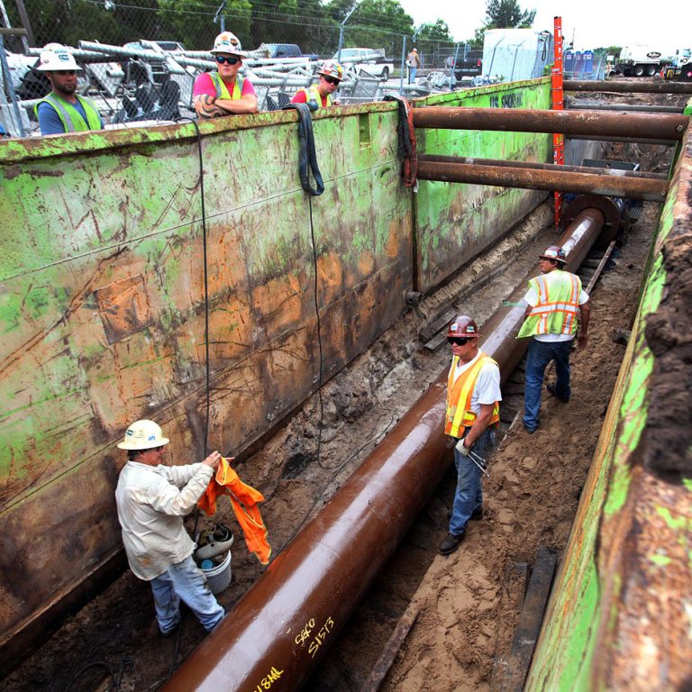 The Limits of Consumer Choice