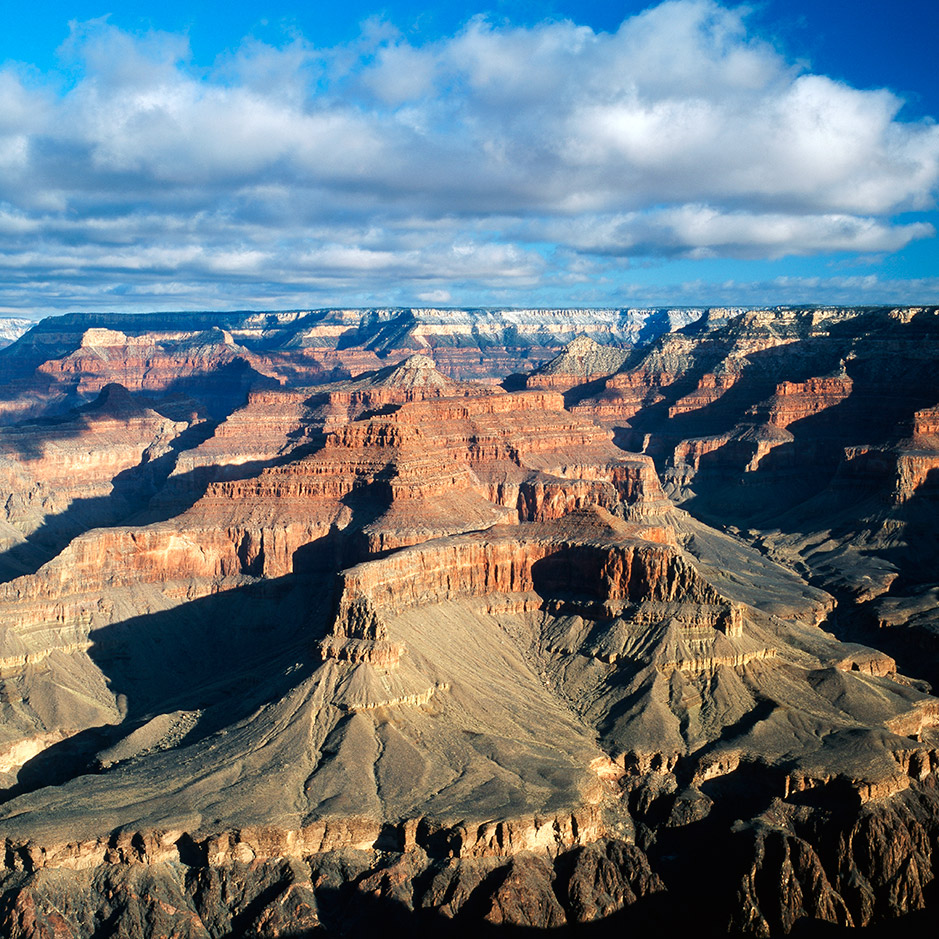 The Most Beautiful Scar