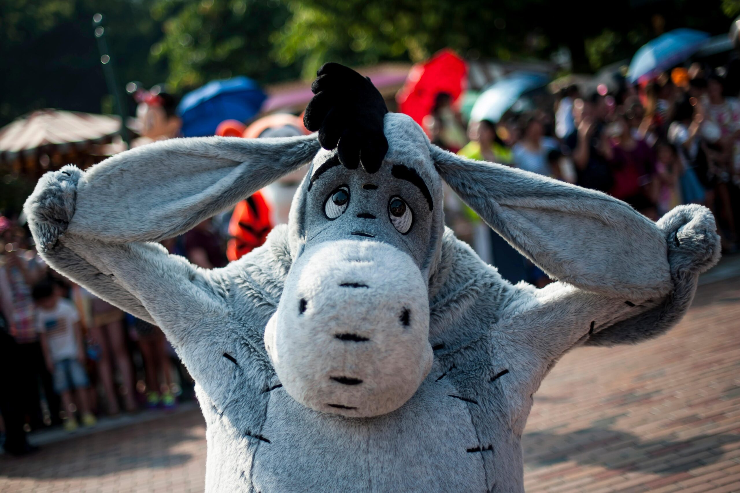 The Optimists vs. the Eeyores