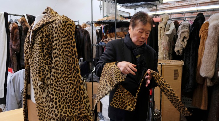 San Francisco becomes largest US city to ban fur sales