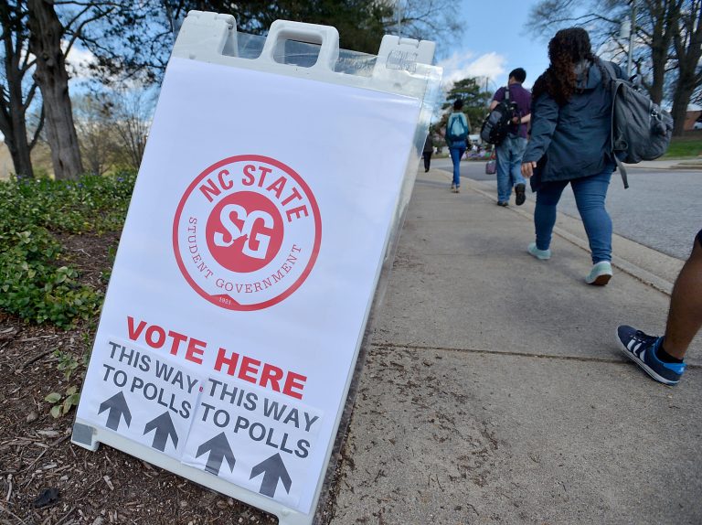 How Many Foreign Voters?