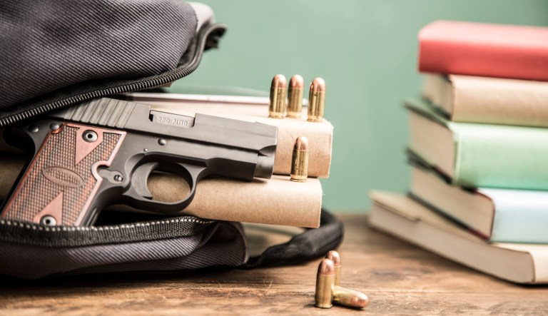 Democrat-sponsored gun bills sail through committee