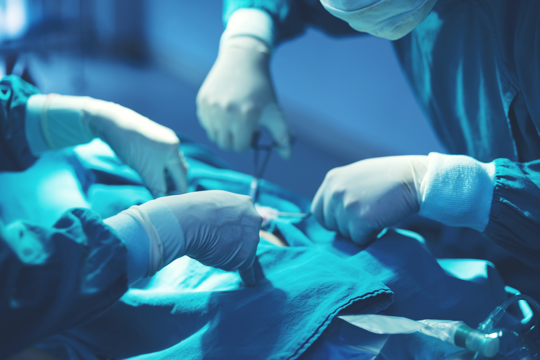 Former employee blows the whistle on transgender clinic: ‘Morally and medically appalling’