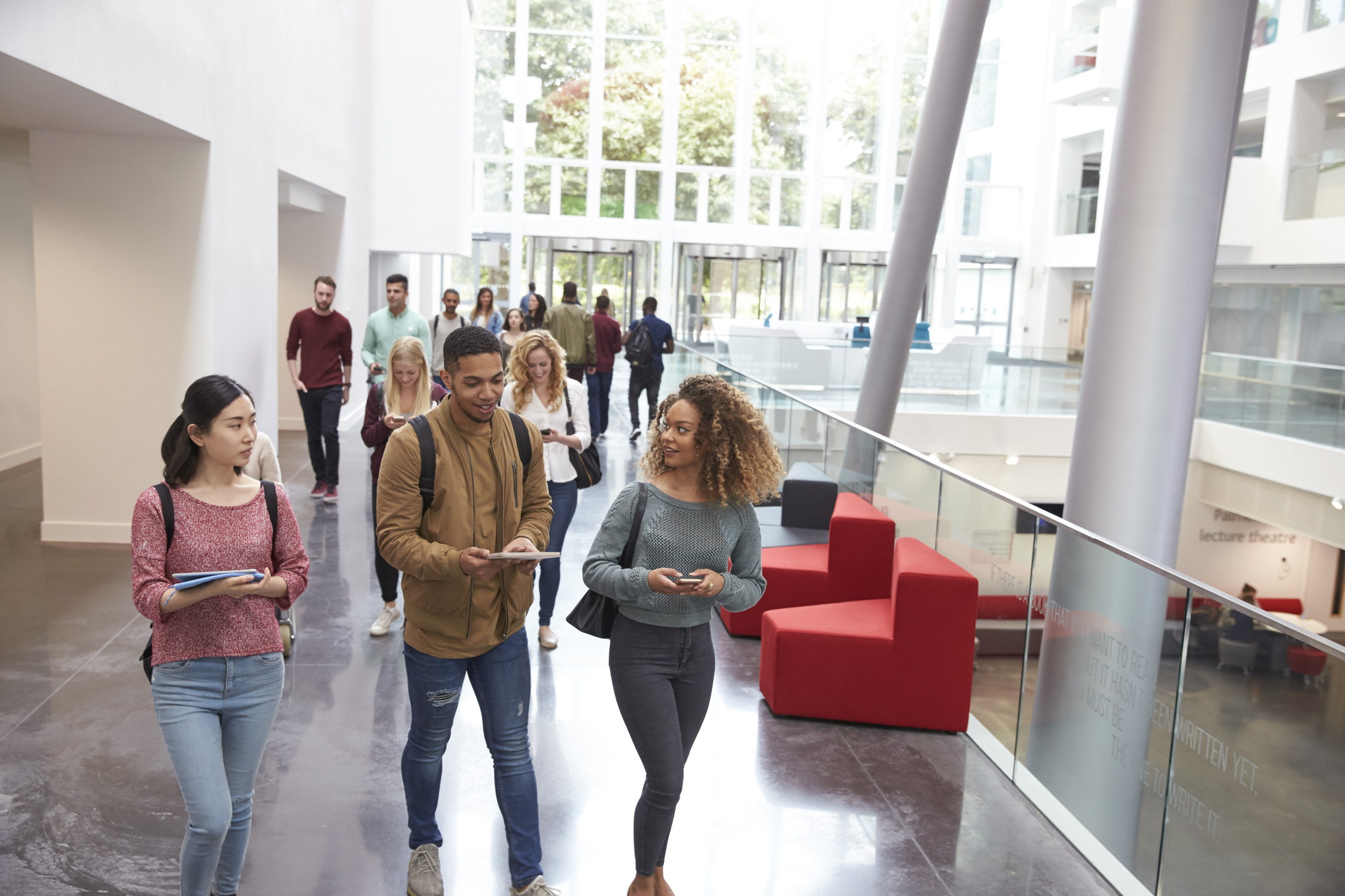 The institutional threat of DEI