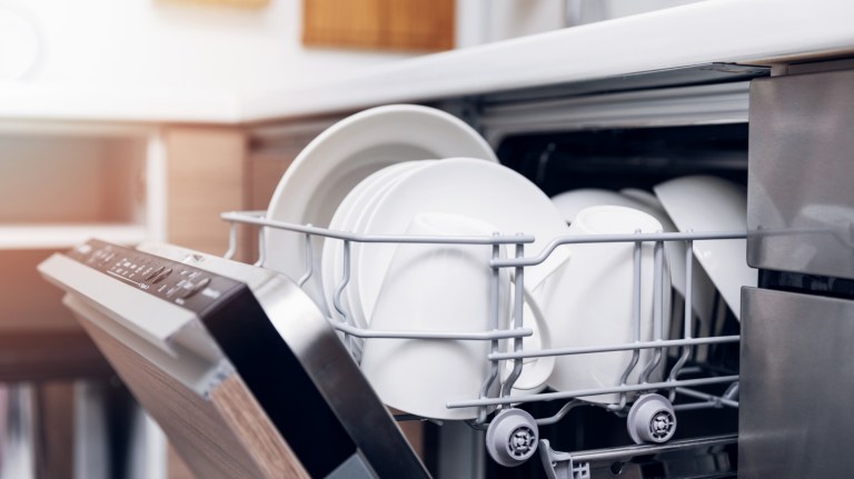 Latest appliance energy-efficiency mandate equals fewer consumer choices, dirtier dishes