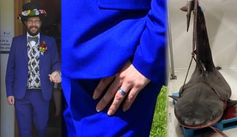 Wedding ring on hand found in stomach of 9-foot shark identifies victim