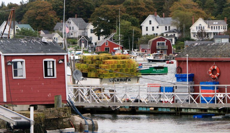 Armed neighbors chop down tree to force man into quarantine