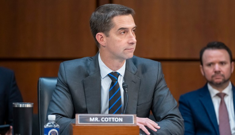 Tom Cotton blasted for ‘racist’ questioning of TikTok CEO by Asian American caucus