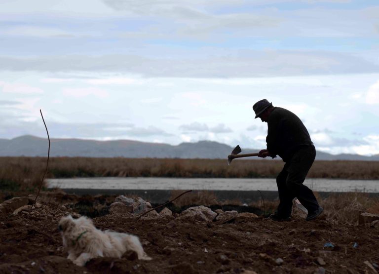 Development aid does not help in the fight against poverty