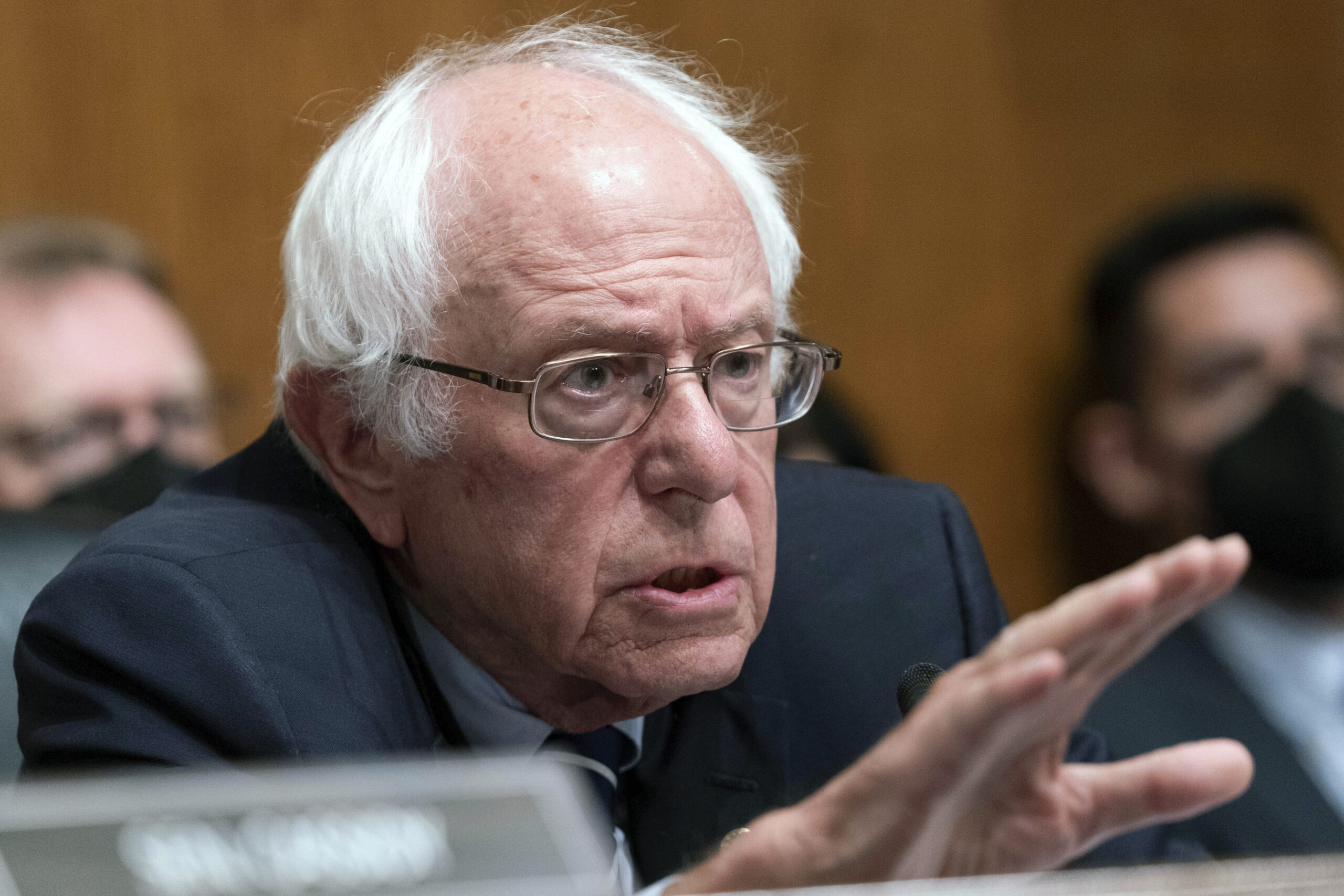 Bernie Sanders unveils his latest insane idea 