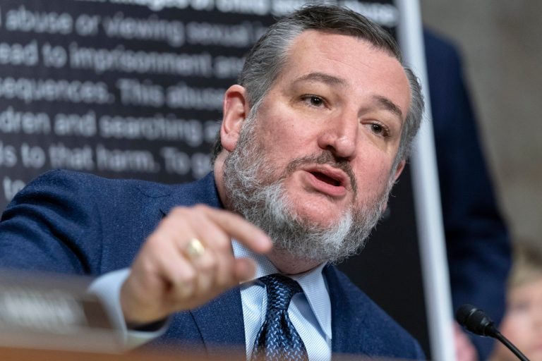 Flying fancy: Ted Cruz wants security escorts for lawmakers in airports