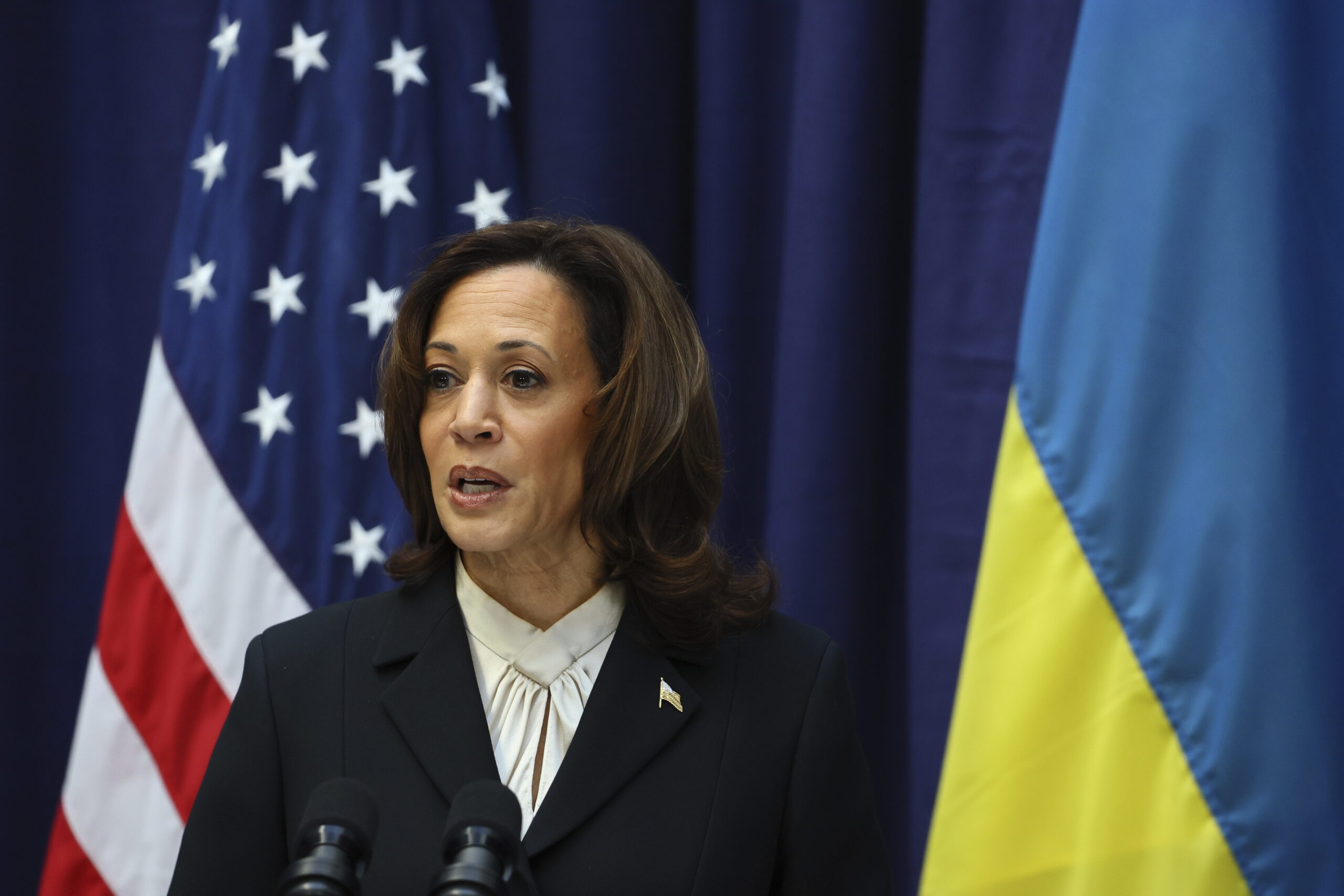 US will help Ukraine for ‘as long as it takes’: Harris