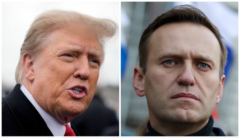 Trump/Navalny diptych