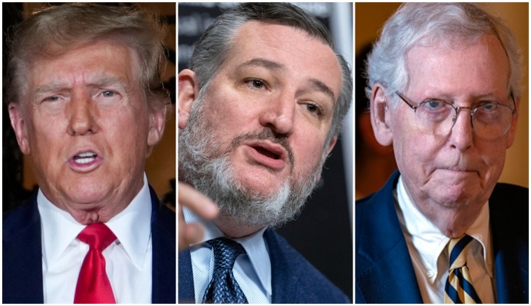 McConnell running for reelection is his decision to make amid ‘bad blood’ with Trump: Ted Cruz