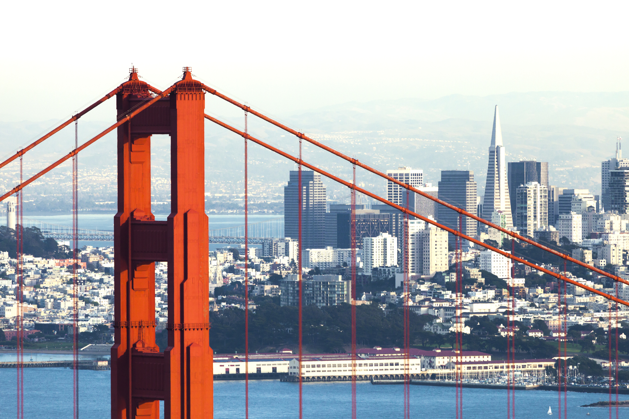 San Francisco opens city’s first $5 million taxpayer-funded free food ‘market’