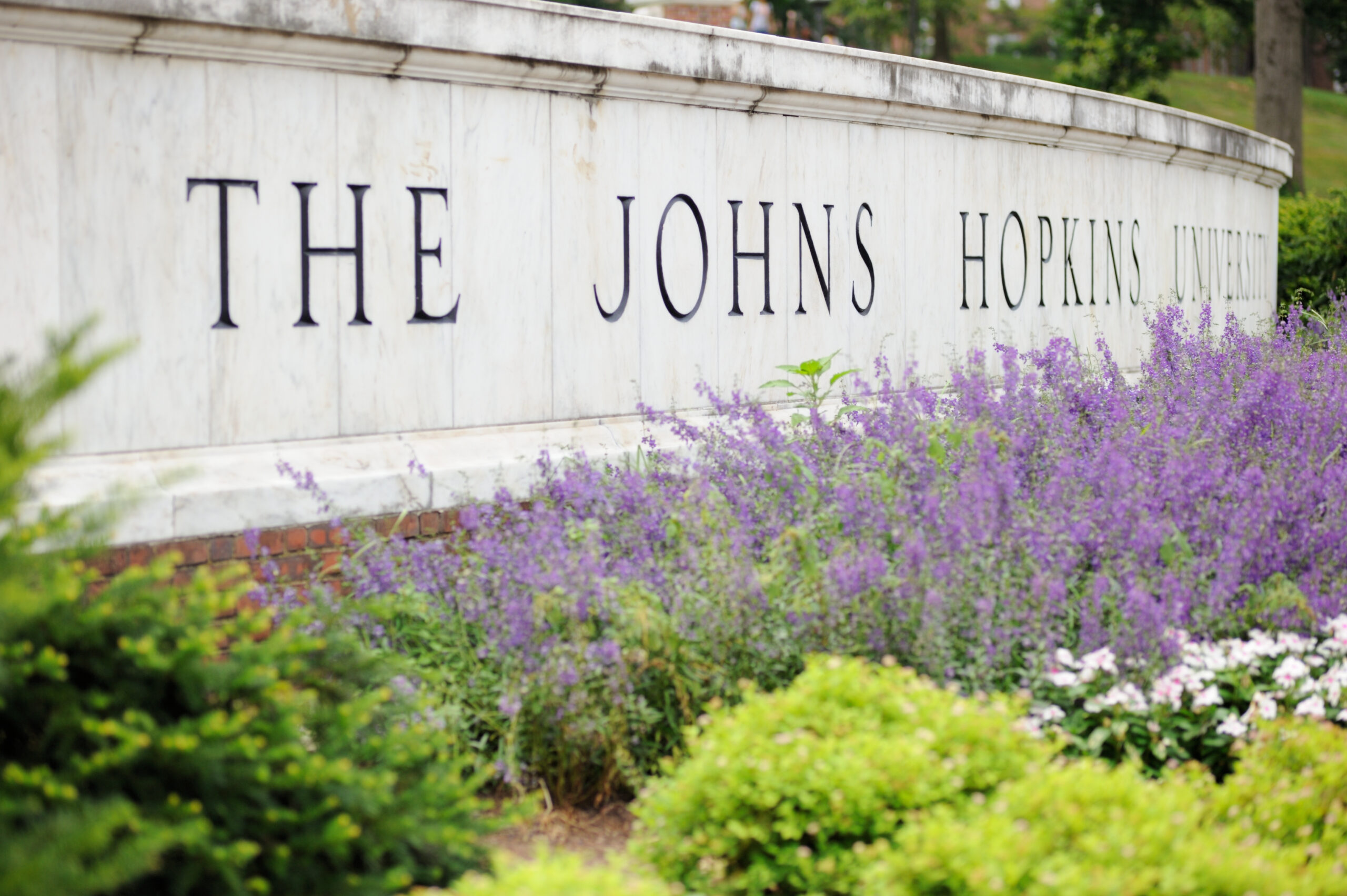 Johns Hopkins rebrands ‘citizenship’ to ‘colonialism’ at critical studies center