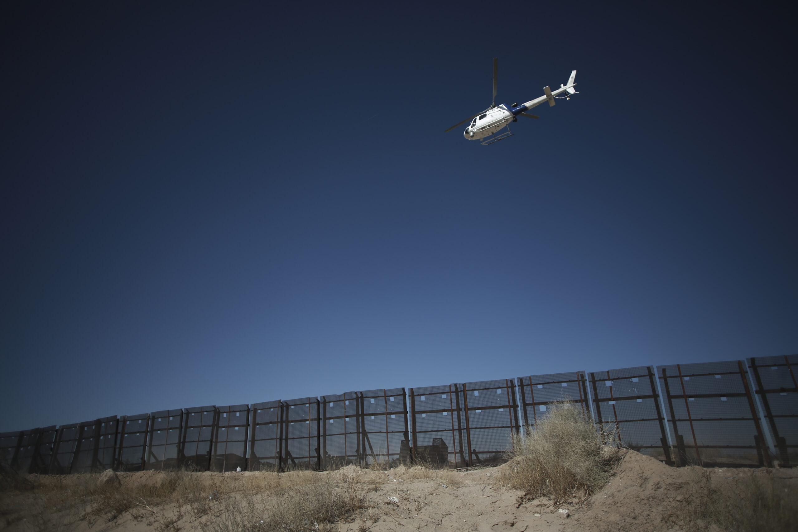 Supporters of open borders lack common sense