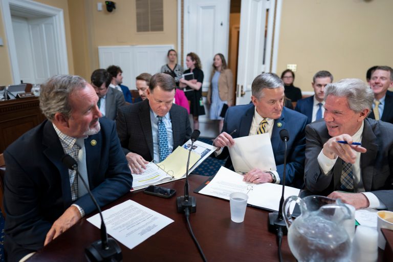 All but one House Republican votes to condemn carbon tax