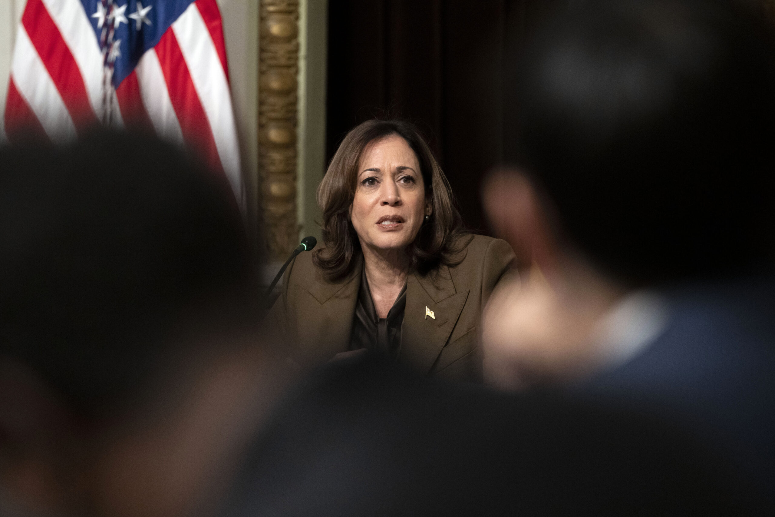 Harris calls for ‘immediate ceasefire’ in Gaza to end ‘humanitarian catastrophe’