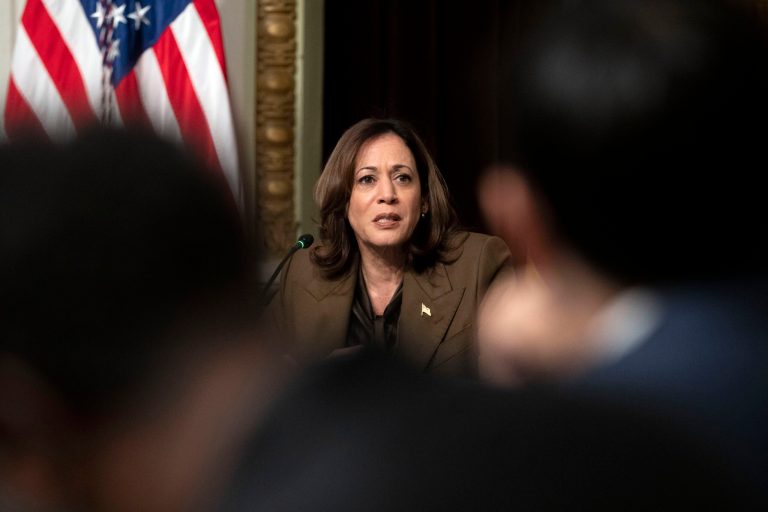 Harris calls for ‘immediate ceasefire’ in Gaza to end ‘humanitarian catastrophe’