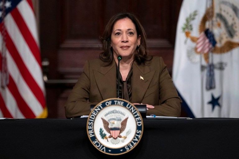 Kamala Harris hosts marijuana panel with Fat Joe as Biden pushes to reclassify the drug