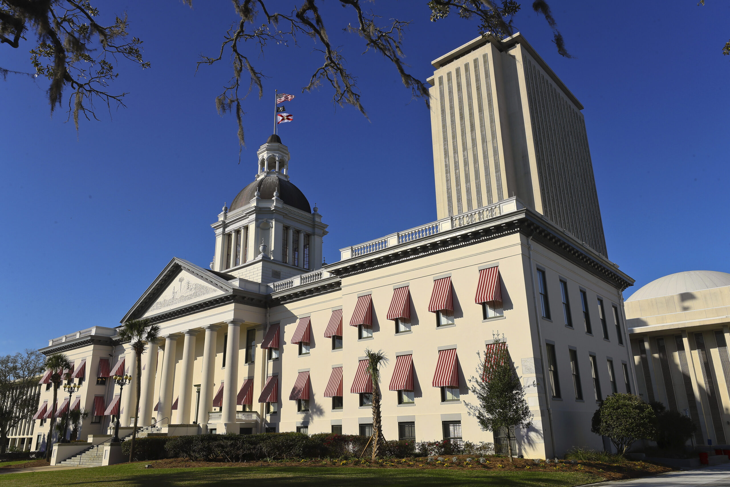 Florida House passes bill to lower minimum age to buy guns