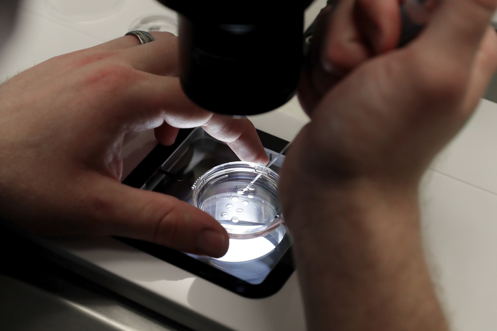 What’s not to love about IVF?