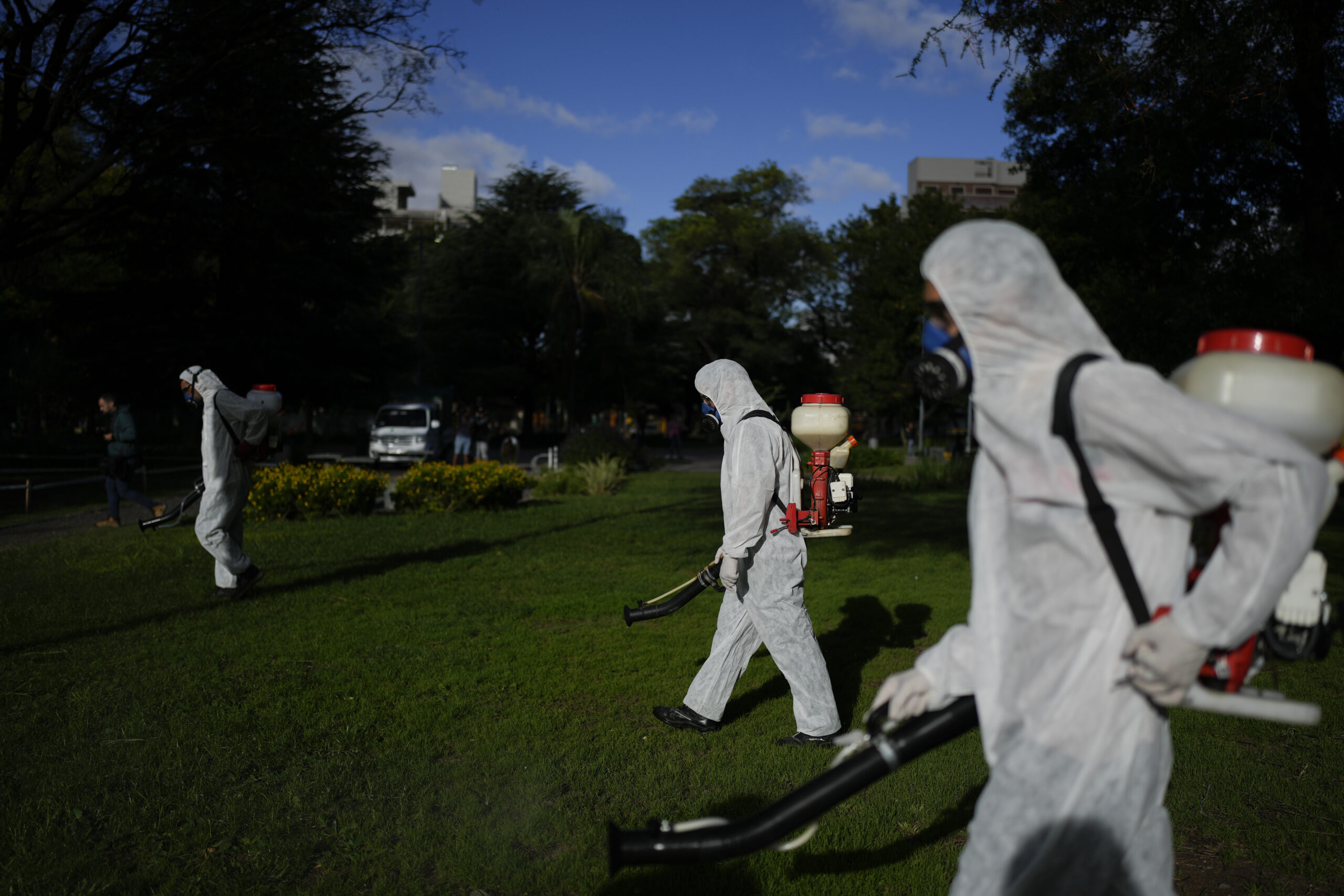 Puerto Rico has declared an epidemic following a spike in dengue cases