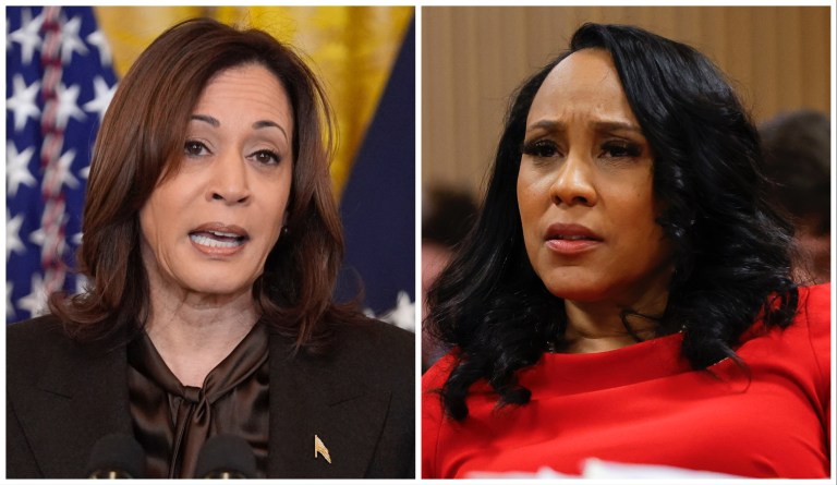 Georgia Senate examines Fani Willis meeting with Kamala Harris before Trump indictment