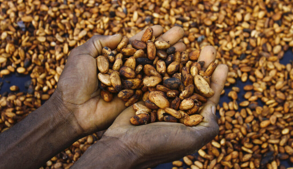 Cocoa prices have been surging and are set to push up chocolate prices.