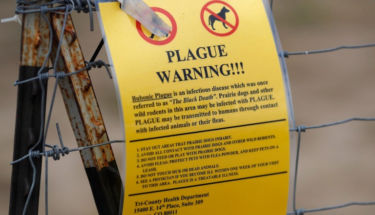 New Mexico man dies of bubonic plague