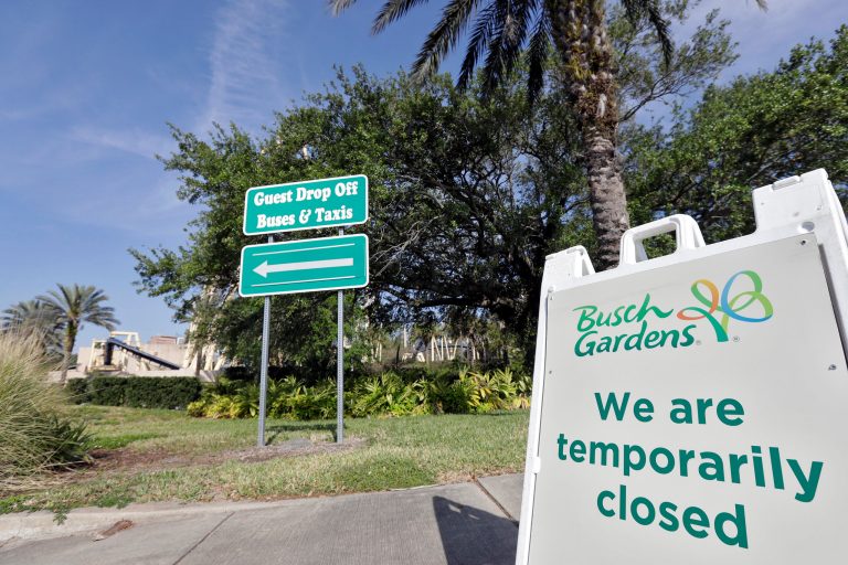 Fight breaks out among Busch Gardens attendees near popular roller coaster
