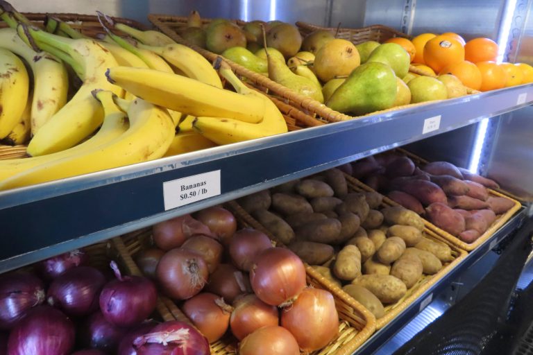 Food stamps: April direct payments worth up to $1,751 to begin in Delaware in one day