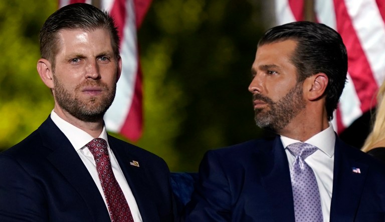 Family affair: Don Jr and Eric Trump take on vetting roles in transition team