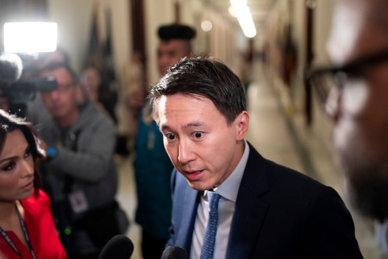 TikTok CEO reaching out to Elon Musk on Trump administration tech policy: Report