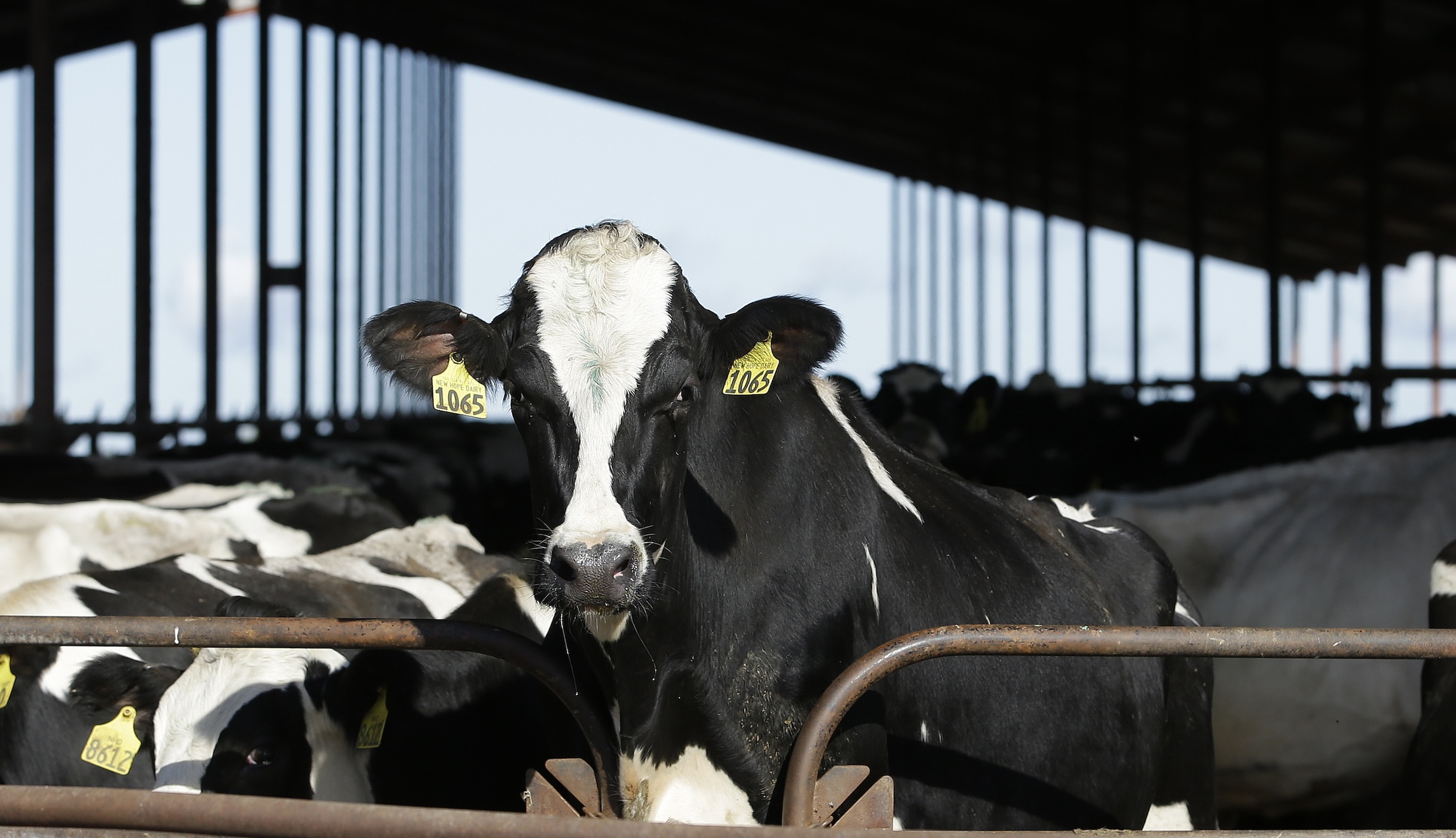 Banning safe pesticides is bad policy and harmful to farmers
