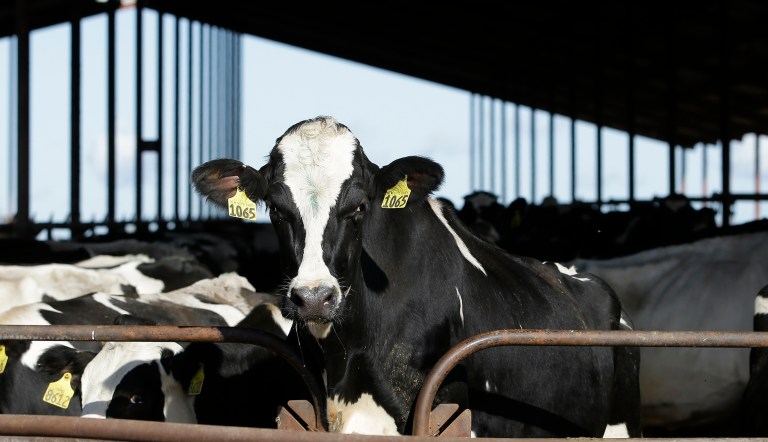 Banning safe pesticides is bad policy and harmful to farmers