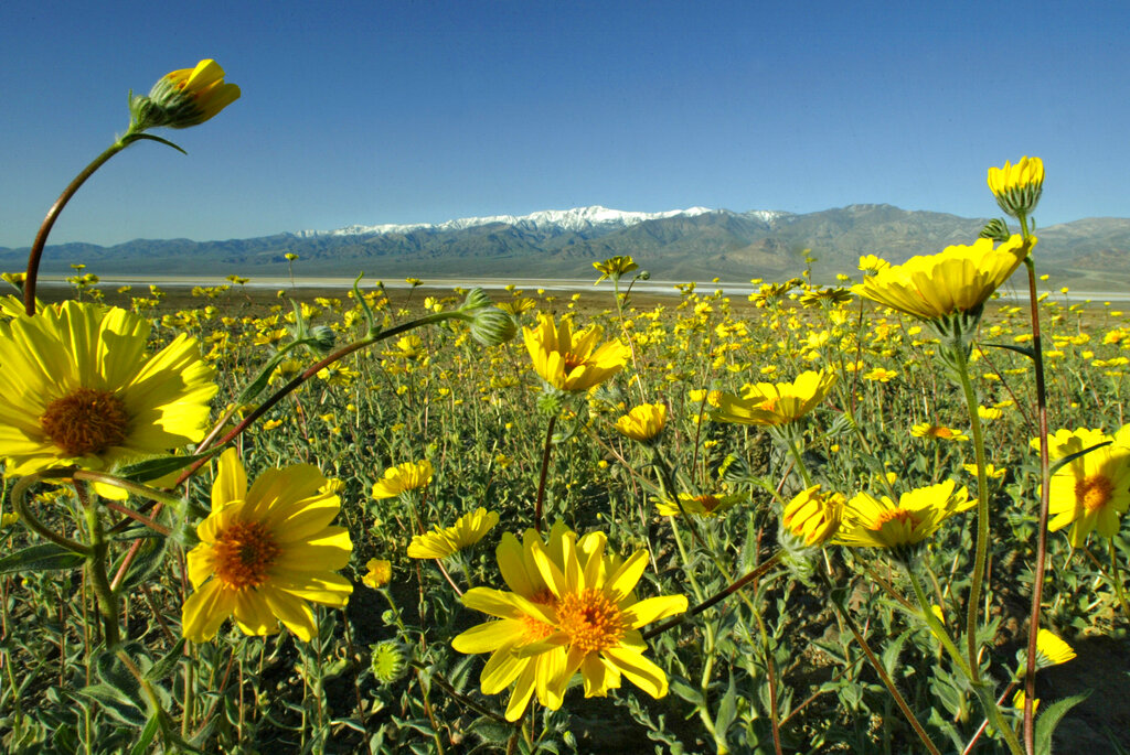 Our most extraordinary experiences for a one-of-a-kind Spring getaway